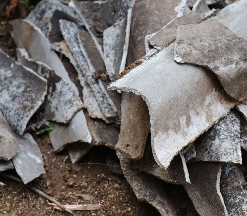 Local & Fast, Clearaway Asbestos