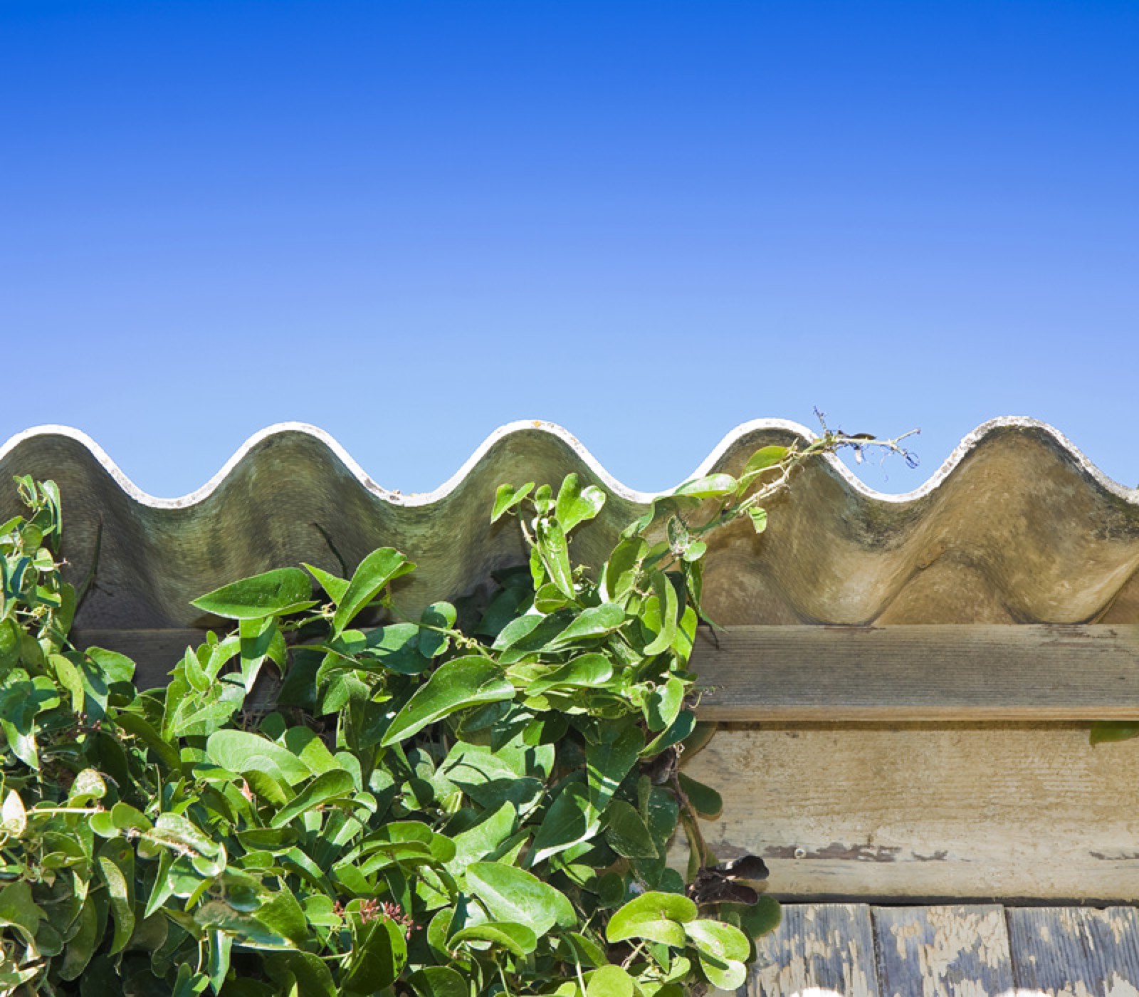 Asbestos Removal in Sutton: Asbestos Services in Sutton