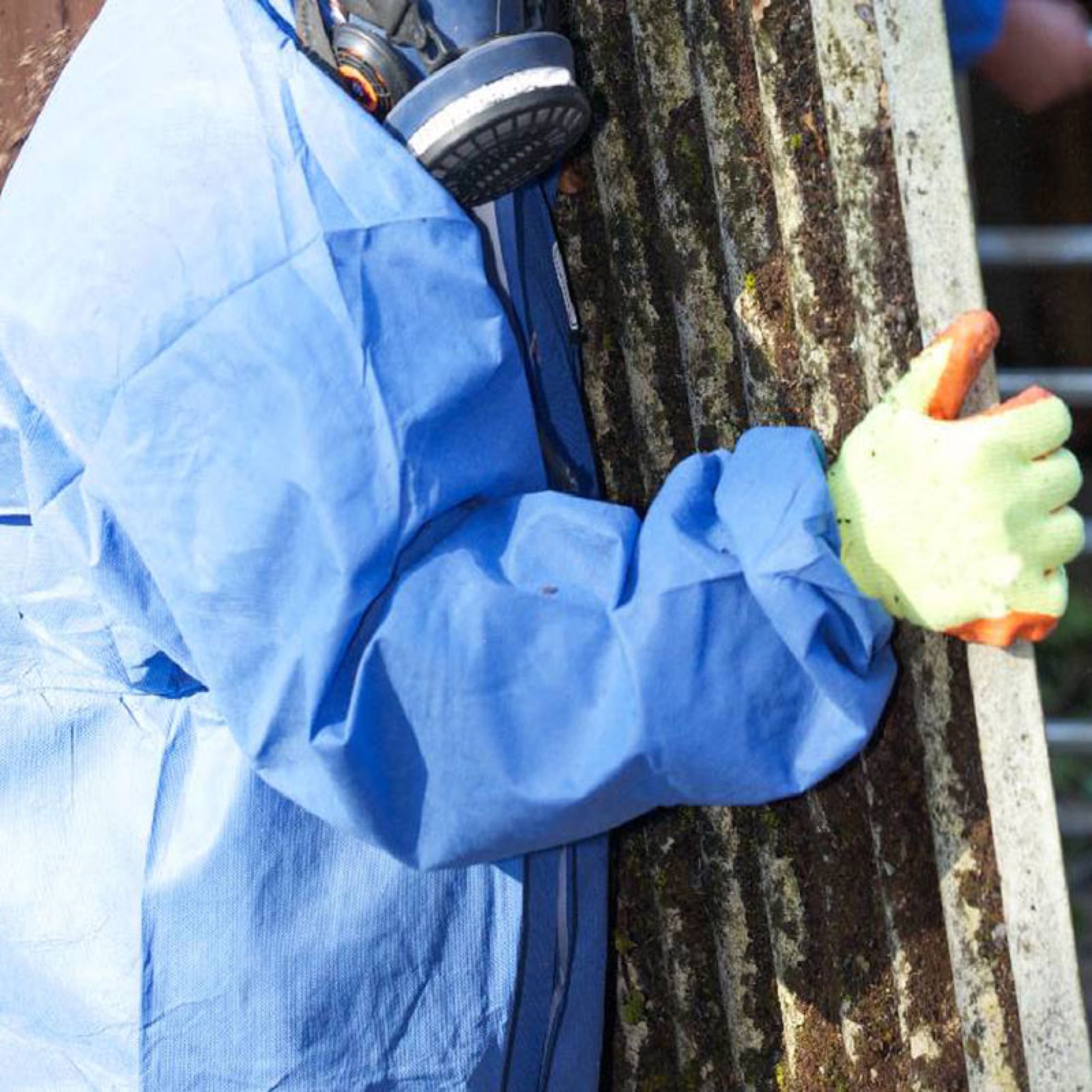 Asbestos Removal in Brighton: Professional Asbestos Removal in Brighton