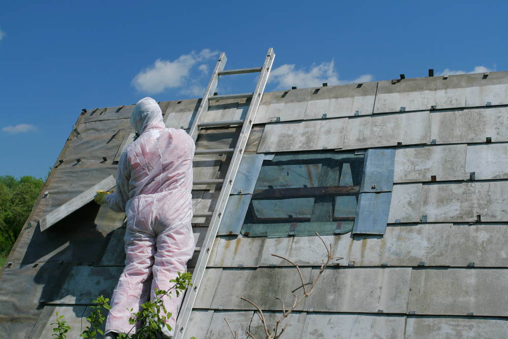 Local & Fast, Clearaway Asbestos