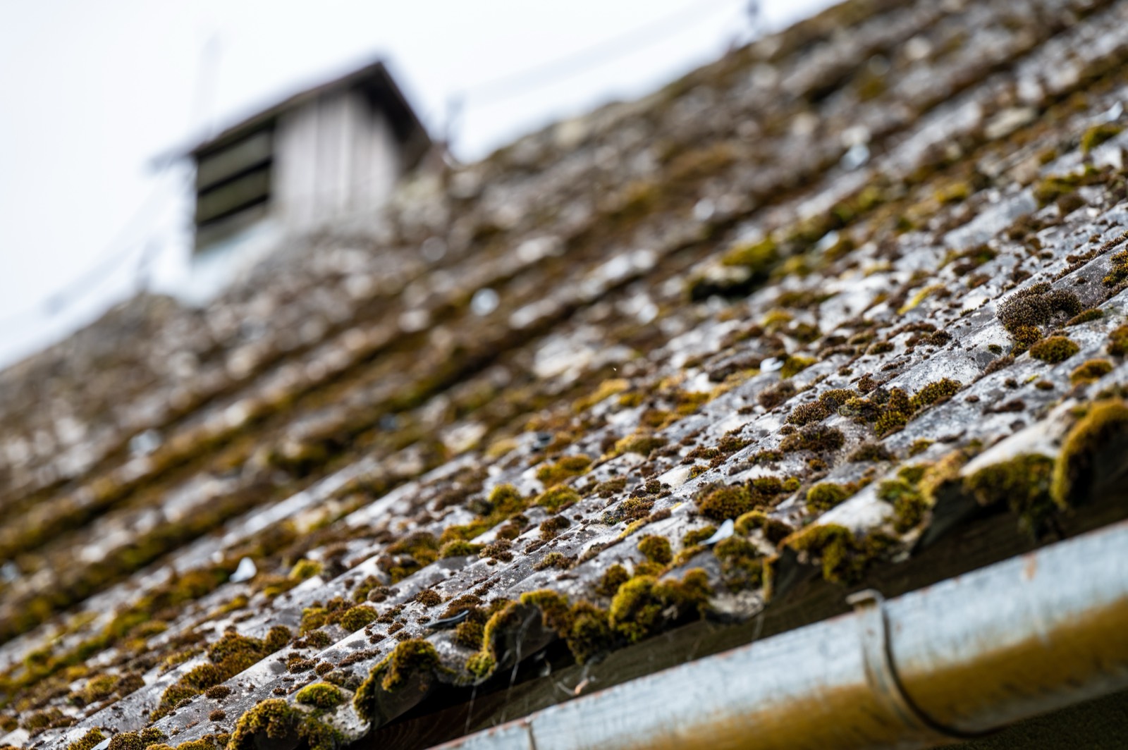 Corrugated asbestos cement garage roof, placeholder